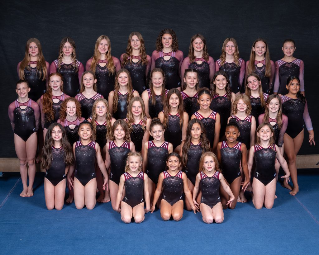 A group photo of Aspire Kids Sports Center's Girls Competitive Gymnastics Team in Chandler Az